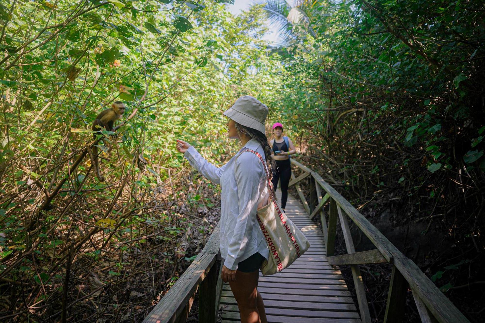 Ecohotel Yachay Tayrona Dentro Del Parque Tayrona Эль-Саино Экстерьер фото