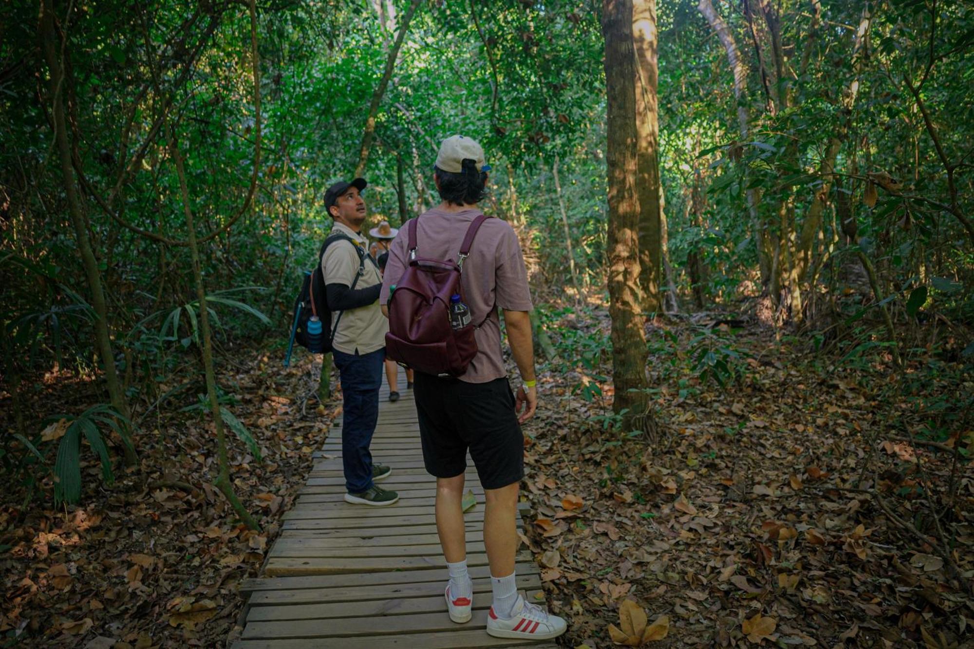 Ecohotel Yachay Tayrona Dentro Del Parque Tayrona Эль-Саино Экстерьер фото
