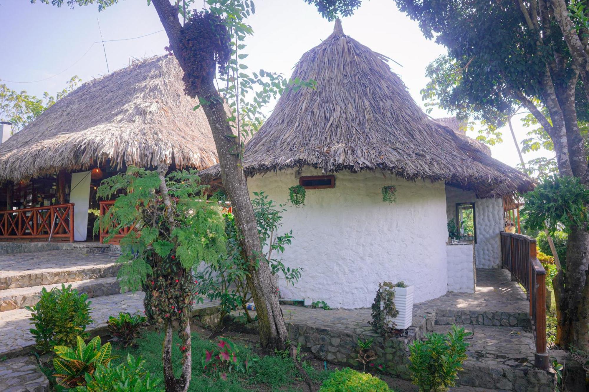 Ecohotel Yachay Tayrona Dentro Del Parque Tayrona Эль-Саино Экстерьер фото