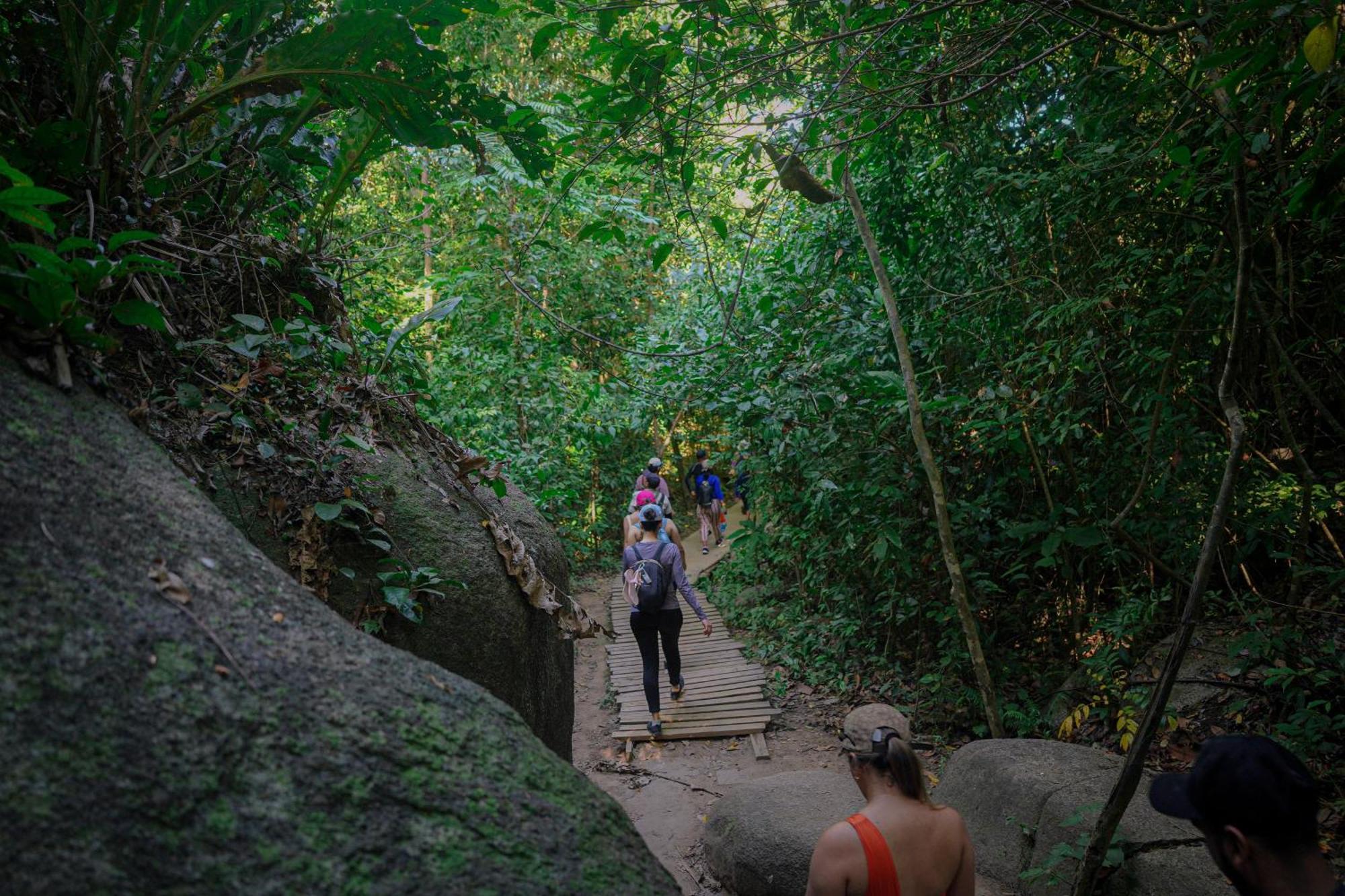 Ecohotel Yachay Tayrona Dentro Del Parque Tayrona Эль-Саино Экстерьер фото