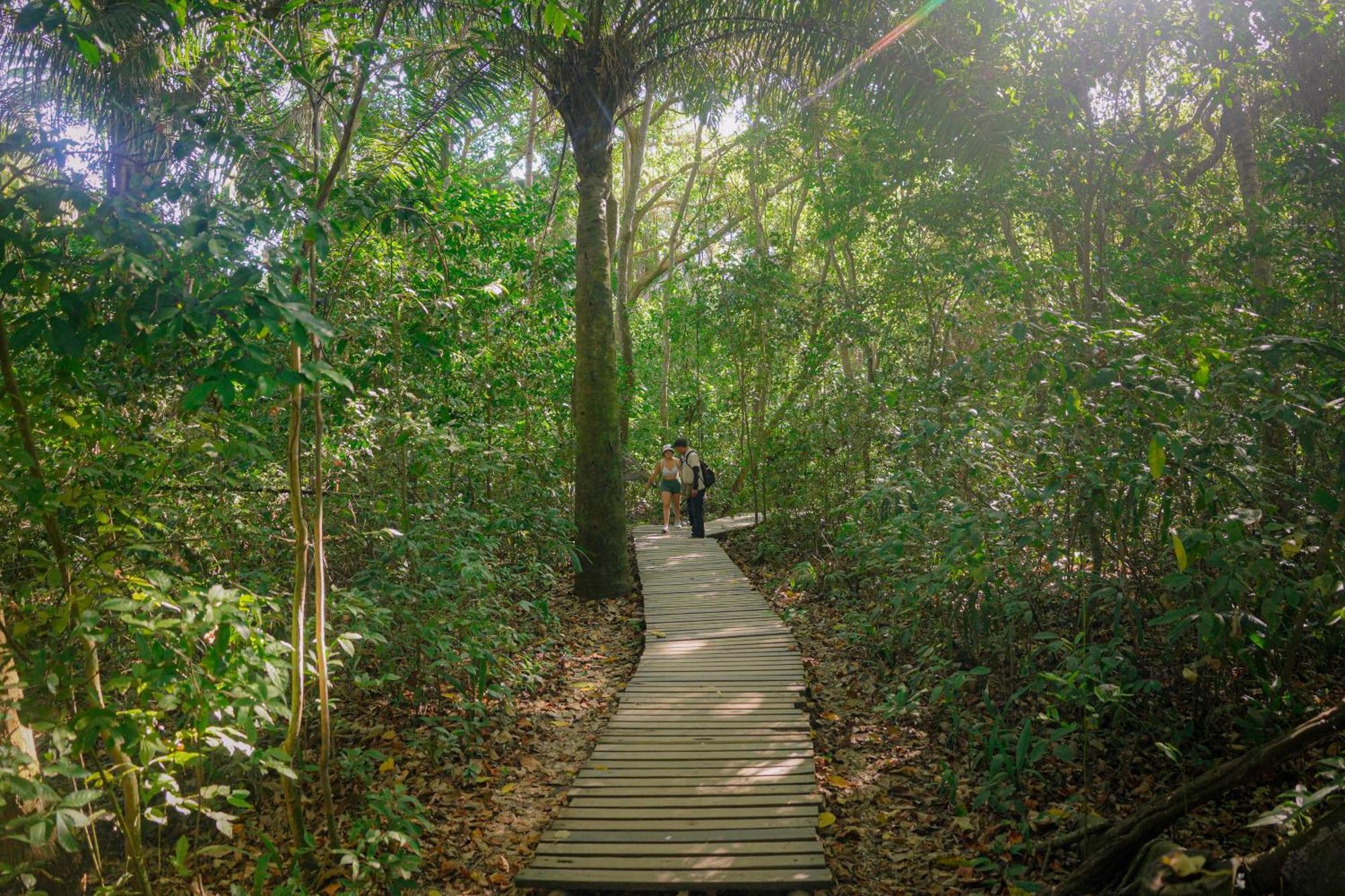 Ecohotel Yachay Tayrona Dentro Del Parque Tayrona Эль-Саино Экстерьер фото