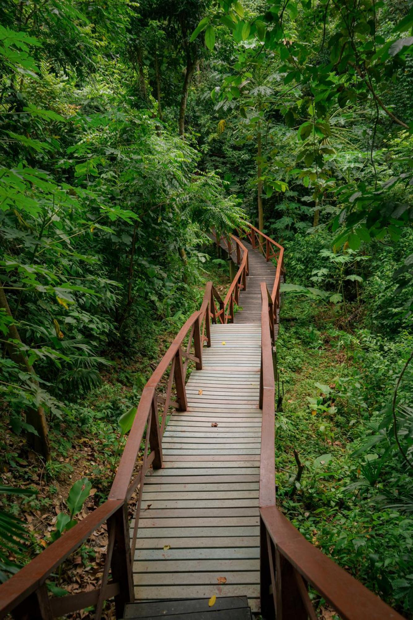 Ecohotel Yachay Tayrona Dentro Del Parque Tayrona Эль-Саино Экстерьер фото
