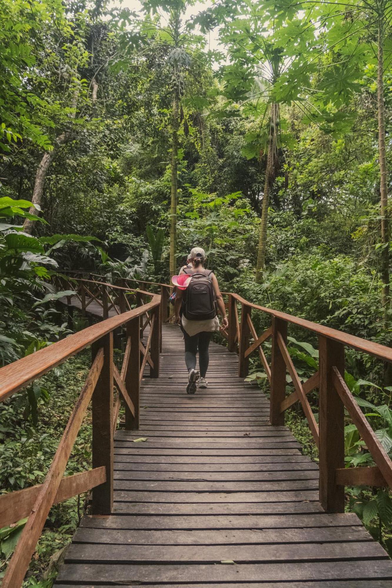 Ecohotel Yachay Tayrona Dentro Del Parque Tayrona Эль-Саино Экстерьер фото