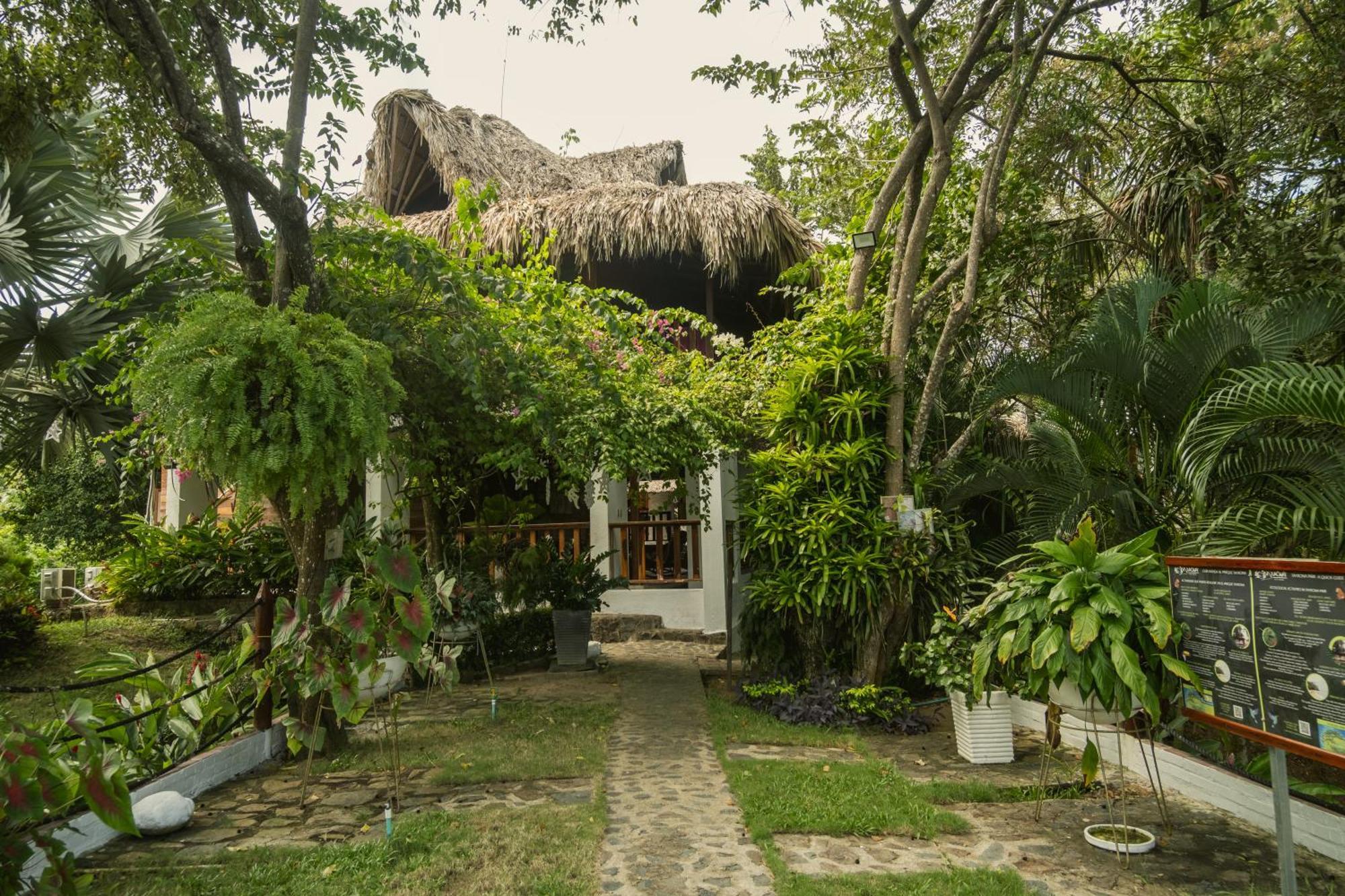 Ecohotel Yachay Tayrona Dentro Del Parque Tayrona Эль-Саино Экстерьер фото
